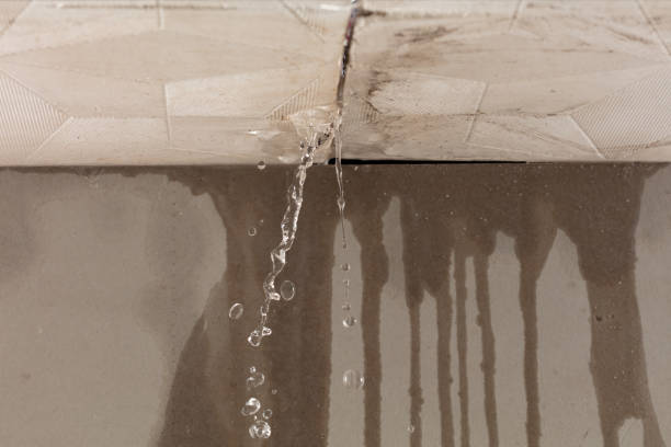 Professional Structural Drying technician working in Newport, NC